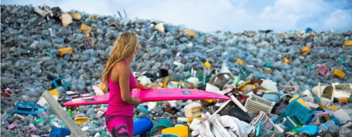 Paulo Gonçalves Waste Management Maldives Small Island Development